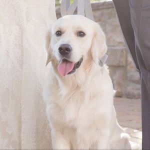 Meet your Posher, Alli